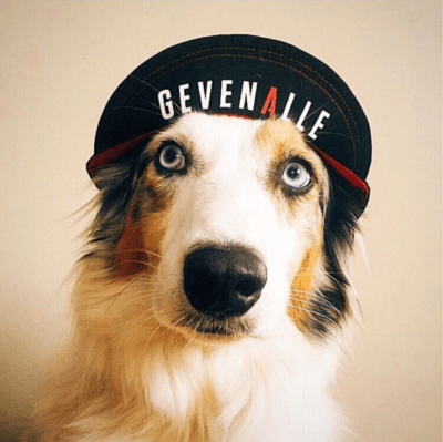 CYCLING CAPS<br>Prestige Edition