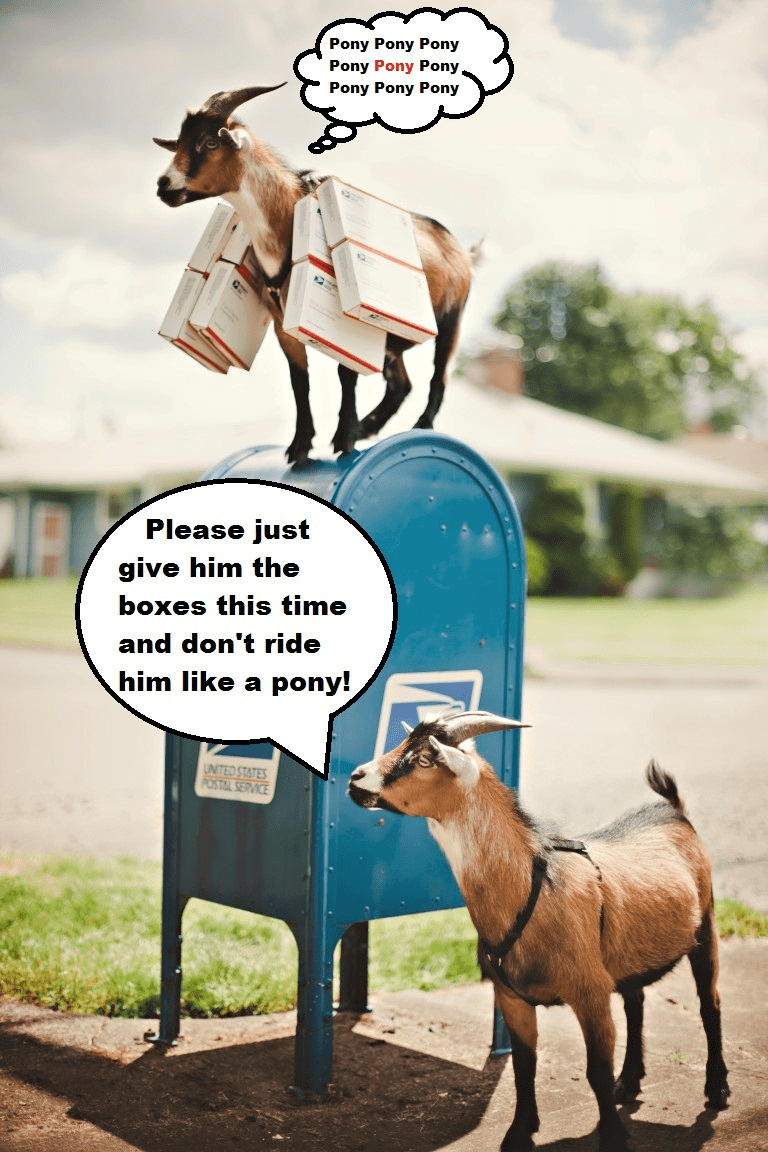 Goats Ship Ride a Pony Goats Ship Ride a Pony